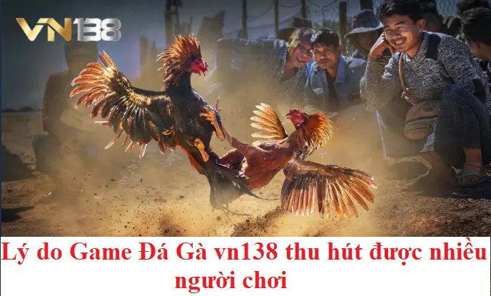 Lý do Game Đá Gà vn138 thu hút được nhiều người chơi