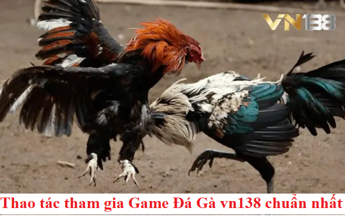 Thao tác tham gia Game Đá Gà vn138 chuẩn nhất